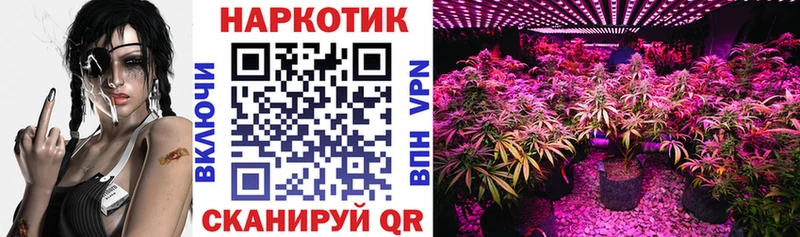 Как найти наркотики Демидов МДМА Меф мяу мяу МАРИХУАНА кракен вход СОЛЬ