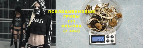 бошки Баксан