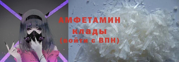 дмт Пересвет